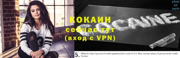 apvp Богородск
