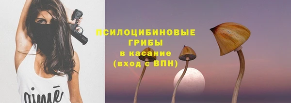 apvp Богородск