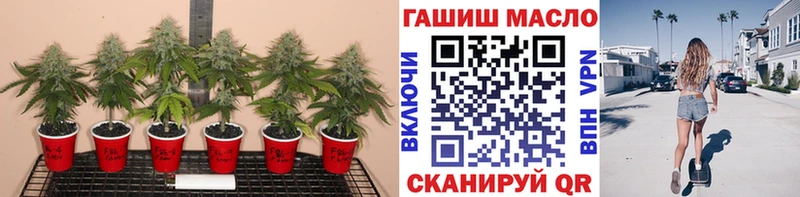 ОМГ ОМГ ТОР  Нариманов  Дистиллят ТГК вейп  наркотики 